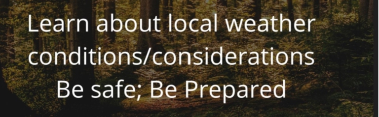 Screenshot 2022-07-22 140630.jpg